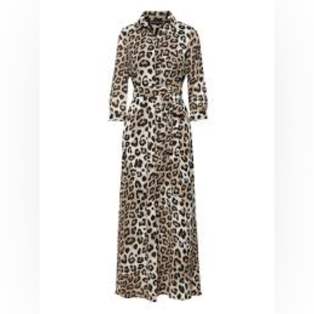 Banana Republic leopard shirtdress